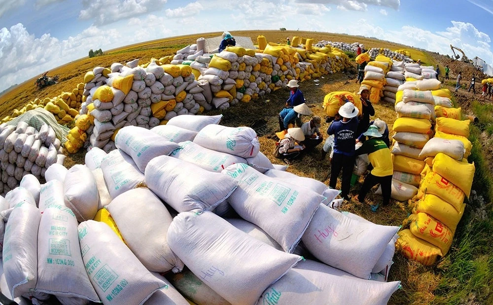 Vietnam maintains top 3 position in rice exports to Singapore
